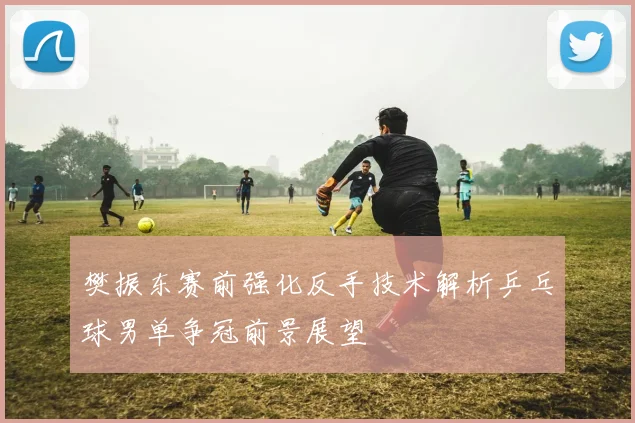 樊振东赛前强化反手技术解析乒乓球男单争冠前景展望