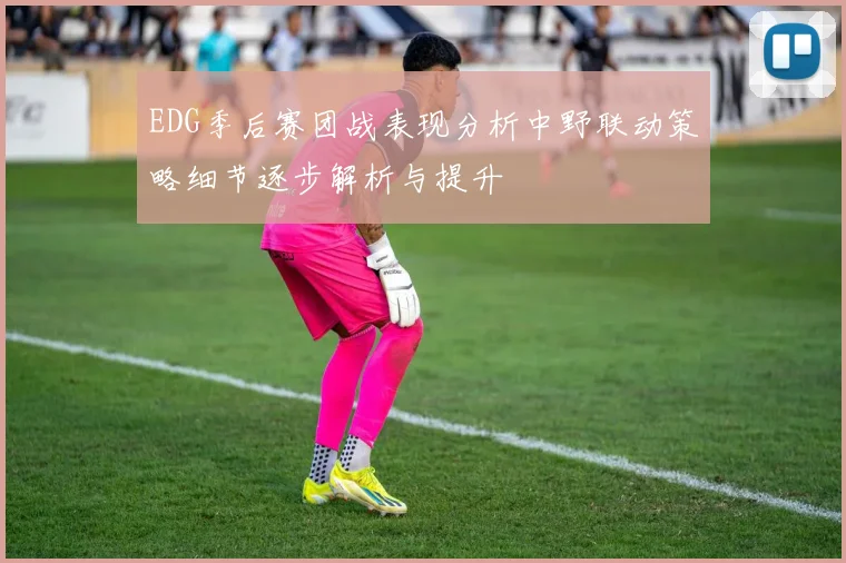 EDG季后赛团战表现分析中野联动策略细节逐步解析与提升