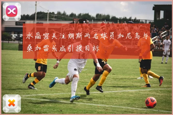 水晶宫关注朗斯两名球员加尼乌与桑加雷或成引援目标